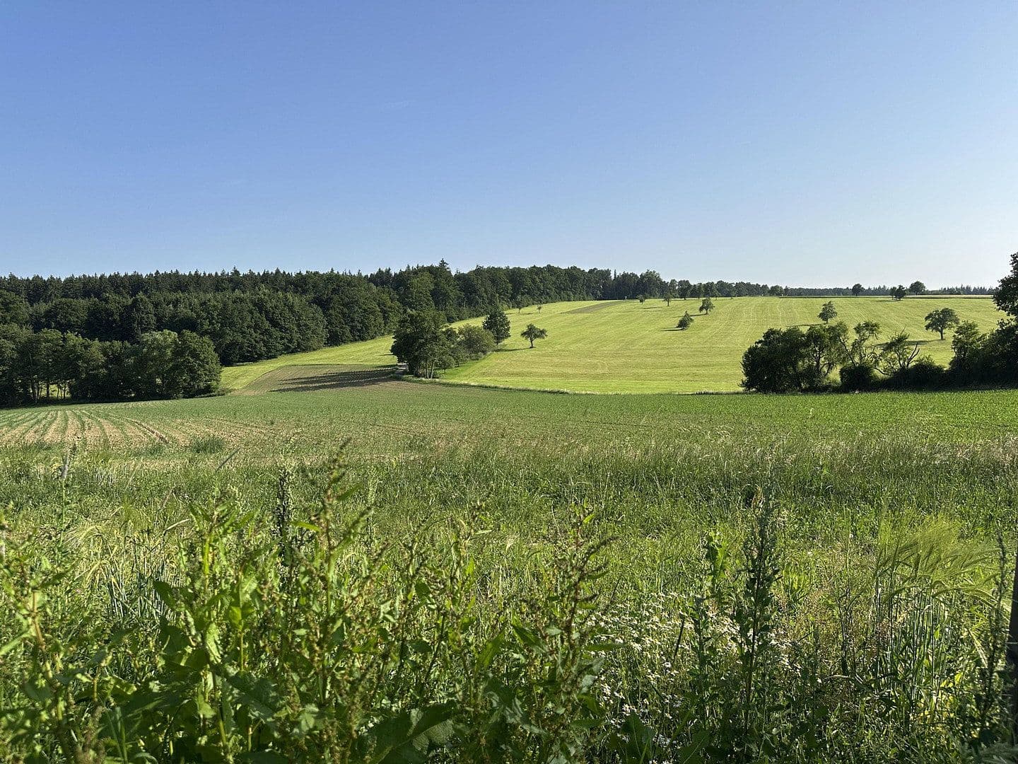 Predaj pozemku 353 m², Enzianweg 30, Schorndorf, Bádensko-Wurttembersko Predaj pozemku 353 m², Enzianweg 30, Schorndorf, Bádensko-Wurttembersko