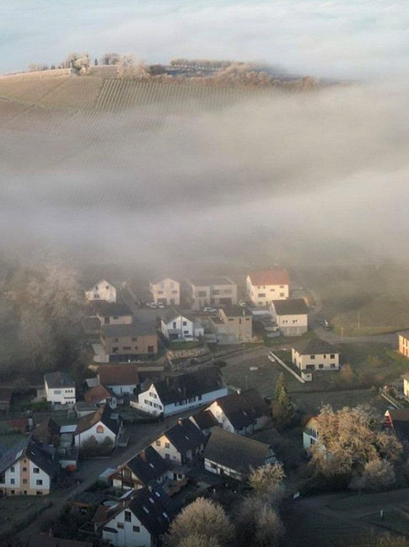 Predaj domu 106 m², pozemok 585 m², Haldengässle 3, Schliengen, Bádensko-Wurttembersko Predaj domu 106 m², pozemok 585 m², Haldengässle 3, Schliengen, Bádensko-Wurttembersko