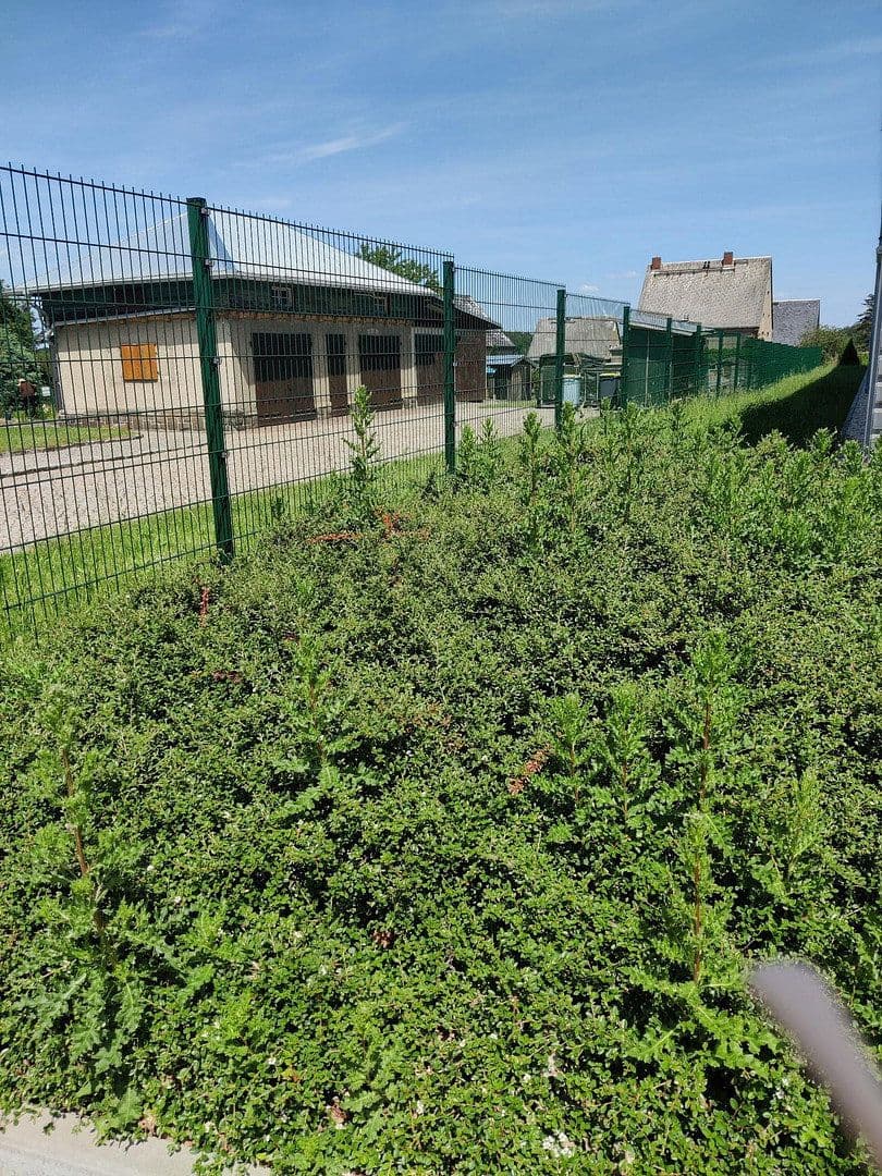 Predaj domu 154 m², pozemok 2.460 m², Chemnitzerstraße 103, Penig, Sasko Predaj domu 154 m², pozemok 2.460 m², Chemnitzerstraße 103, Penig, Sasko