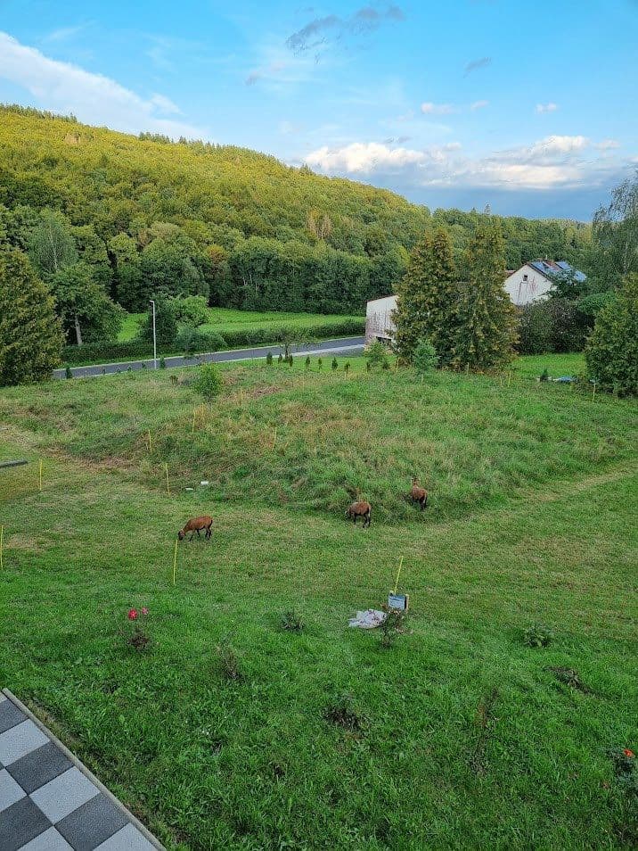 Prenájom nebytového priestoru 2.169 m², Quellenweg 4, Gilserberg, Hesensko Prenájom nebytového priestoru 2.169 m², Quellenweg 4, Gilserberg, Hesensko