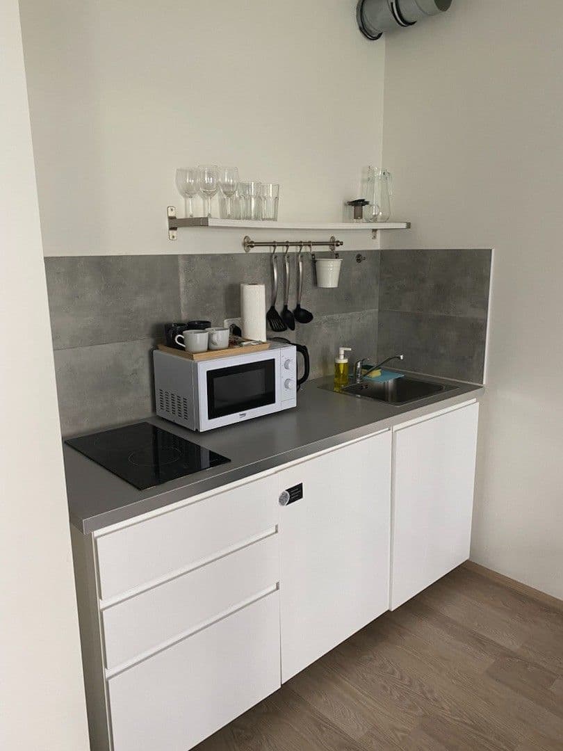 Prenájom bytu 1-izbový 45 m², U Mlýnského kanálu, Praha, Praha Prenájom bytu 1-izbový 45 m², U Mlýnského kanálu, Praha, Praha