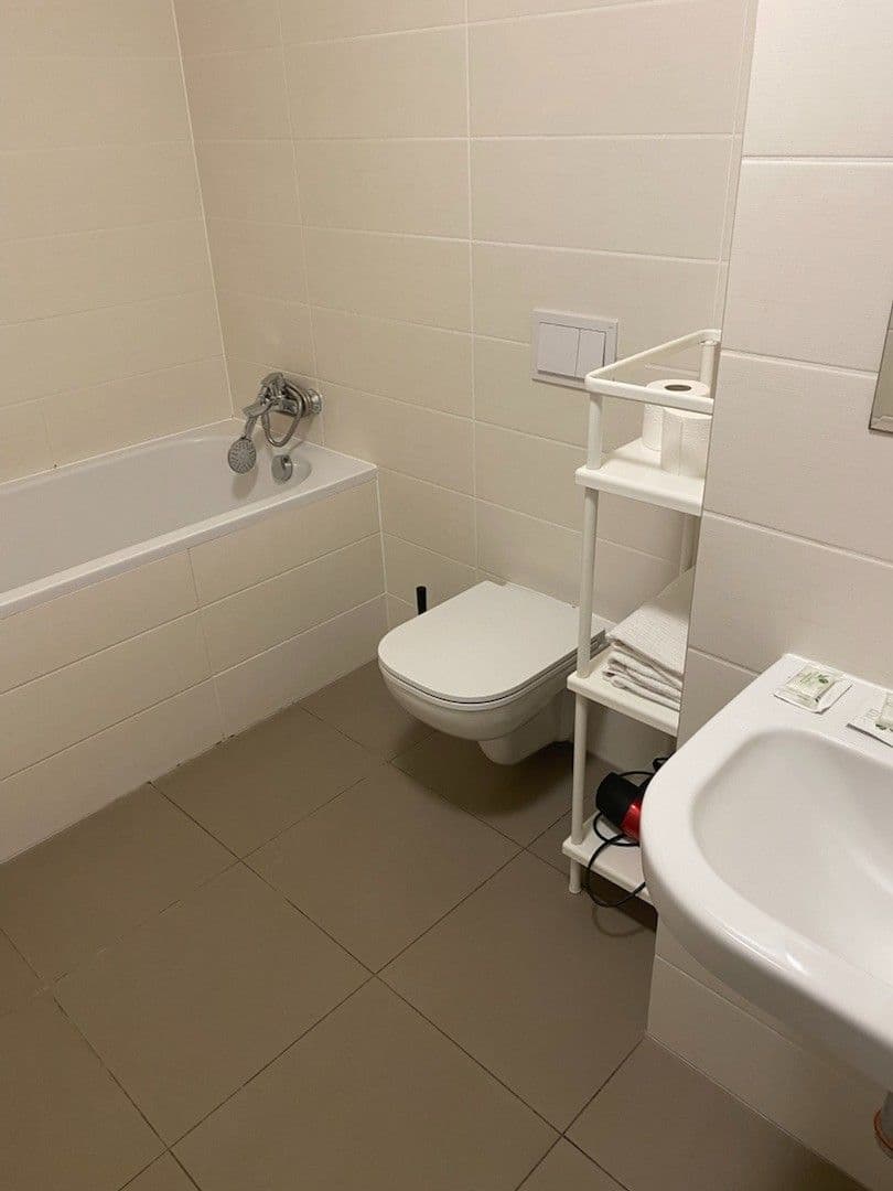 Prenájom bytu 1-izbový 45 m², U Mlýnského kanálu, Praha, Praha Prenájom bytu 1-izbový 45 m², U Mlýnského kanálu, Praha, Praha