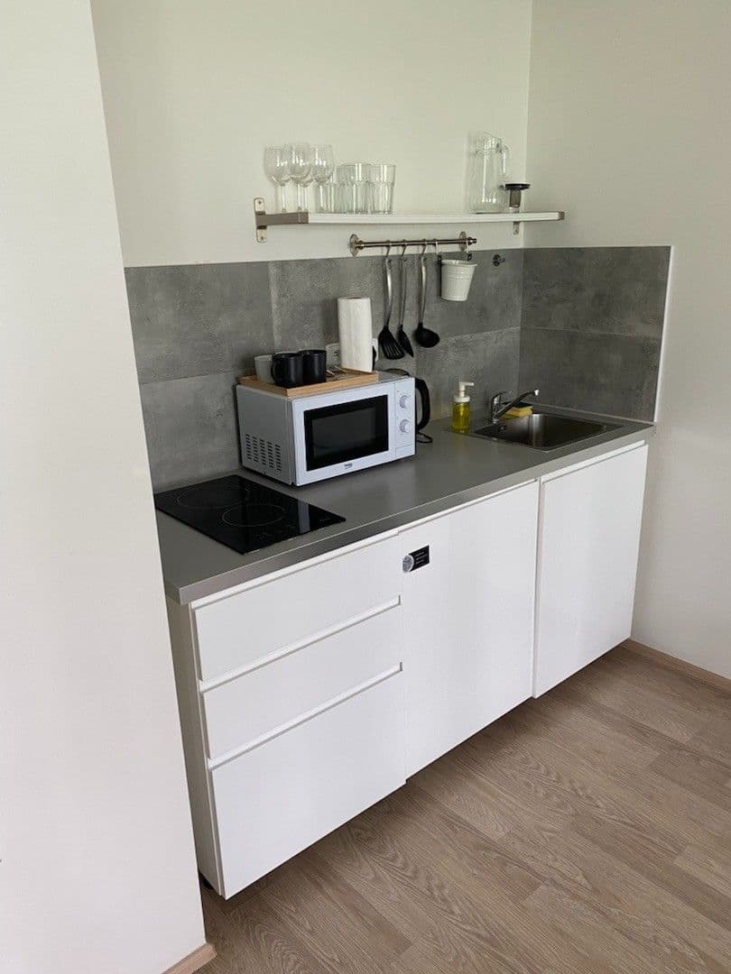 Prenájom bytu 1-izbový 45 m², U Mlýnského kanálu, Praha, Praha Prenájom bytu 1-izbový 45 m², U Mlýnského kanálu, Praha, Praha