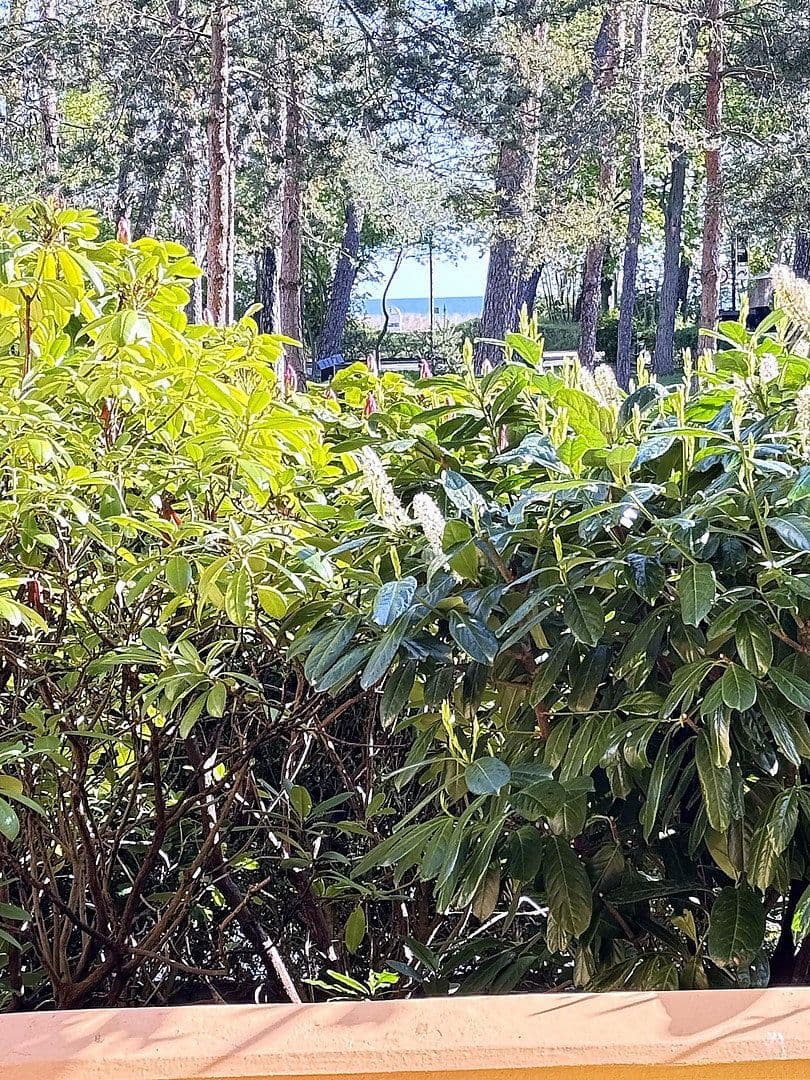 Predaj bytu 2-izbový 53 m², Ostseeallee 40a, Kühlungsborn, Meklenbursko-Predpomoransko Predaj bytu 2-izbový 53 m², Ostseeallee 40a, Kühlungsborn, Meklenbursko-Predpomoransko