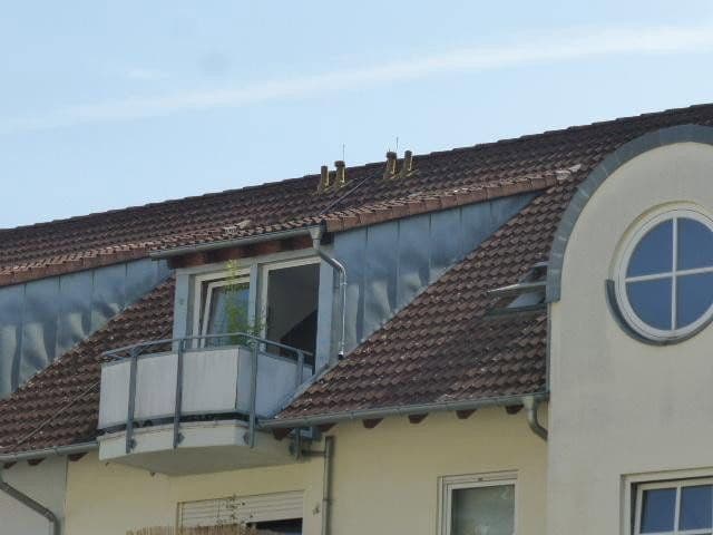 Prenájom bytu 1-izbový 31 m², Müllheim im Markgräflerland, Bádensko-Wurttembersko Prenájom bytu 1-izbový 31 m², Müllheim im Markgräflerland, Bádensko-Wurttembersko