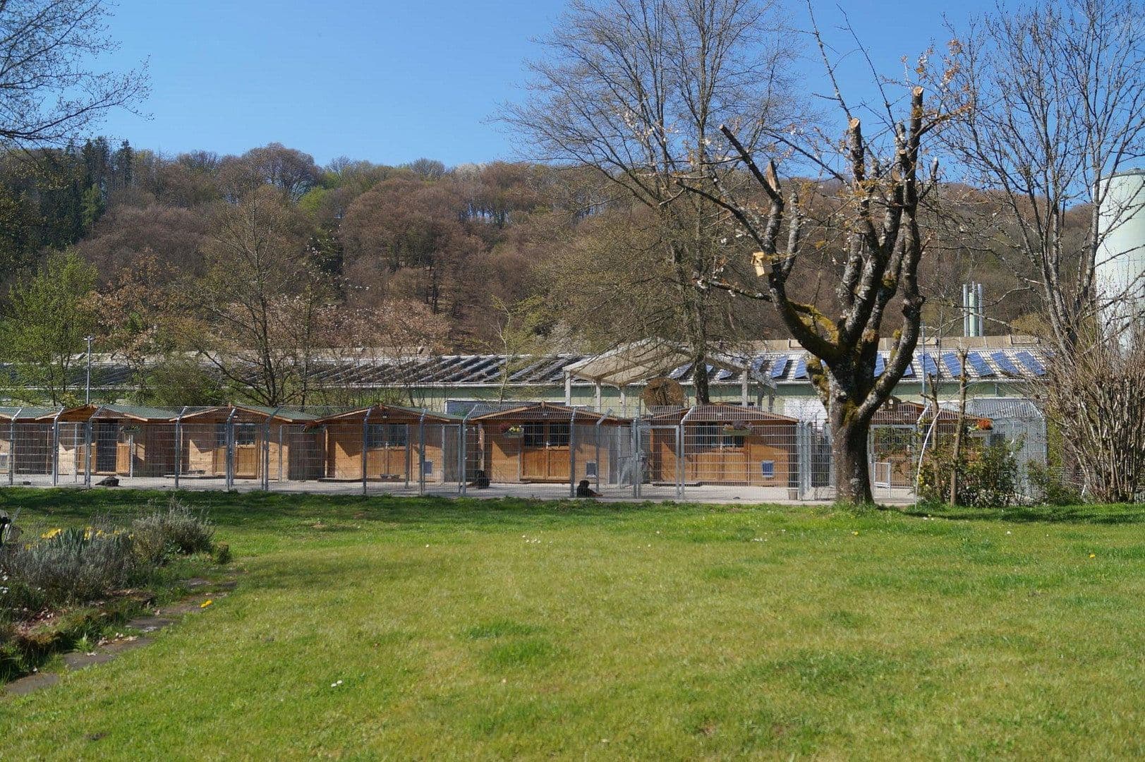 Predaj domu 250 m², pozemok 8.000 m², Waldfischbach-Burgalben, Porýnie-Falcko Predaj domu 250 m², pozemok 8.000 m², Waldfischbach-Burgalben, Porýnie-Falcko
