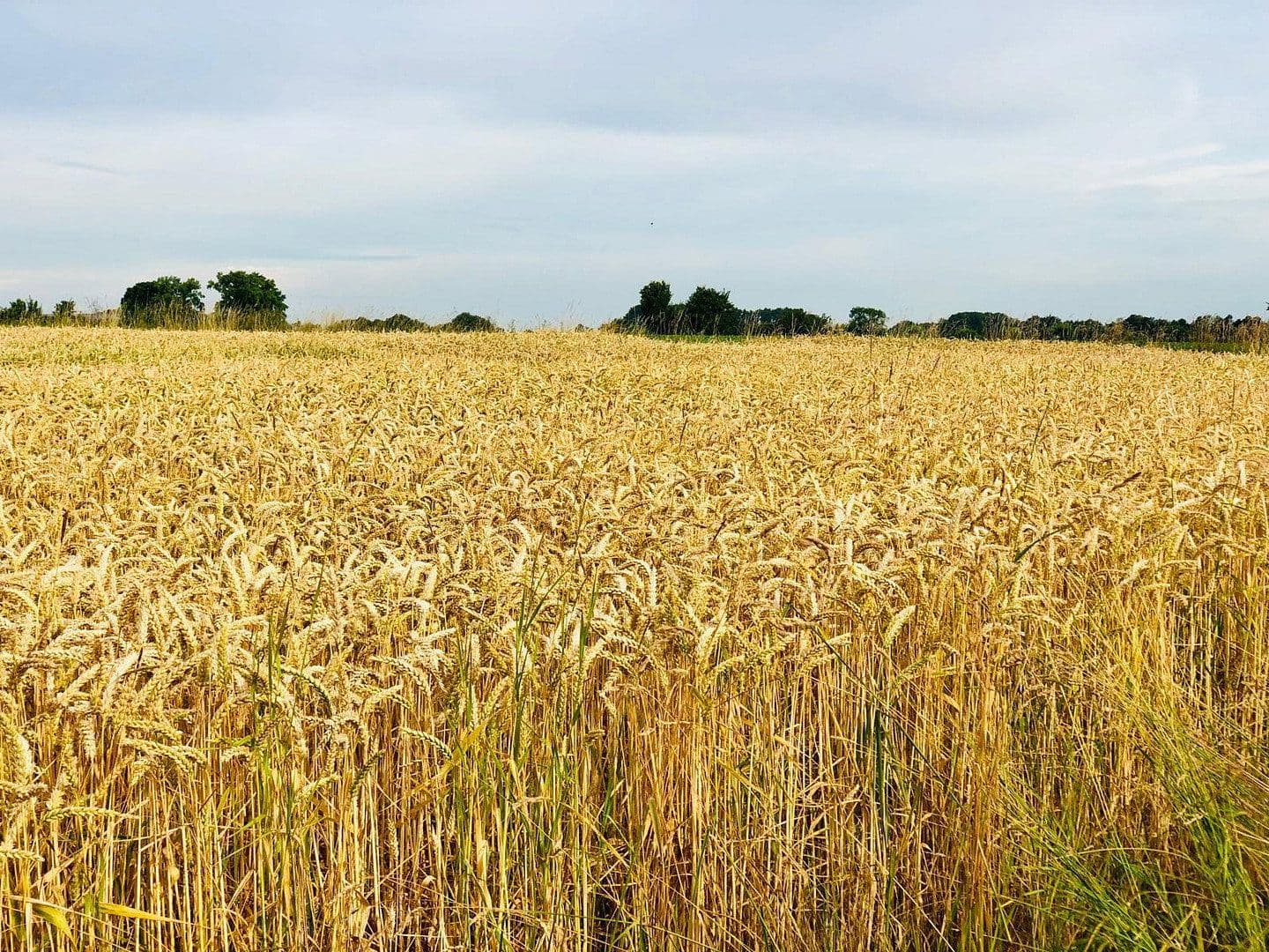 Prenájom bytu 2-izbový 71 m², Madsow 19-22, Neuburg, Meklenbursko-Predpomoransko Prenájom bytu 2-izbový 71 m², Madsow 19-22, Neuburg, Meklenbursko-Predpomoransko