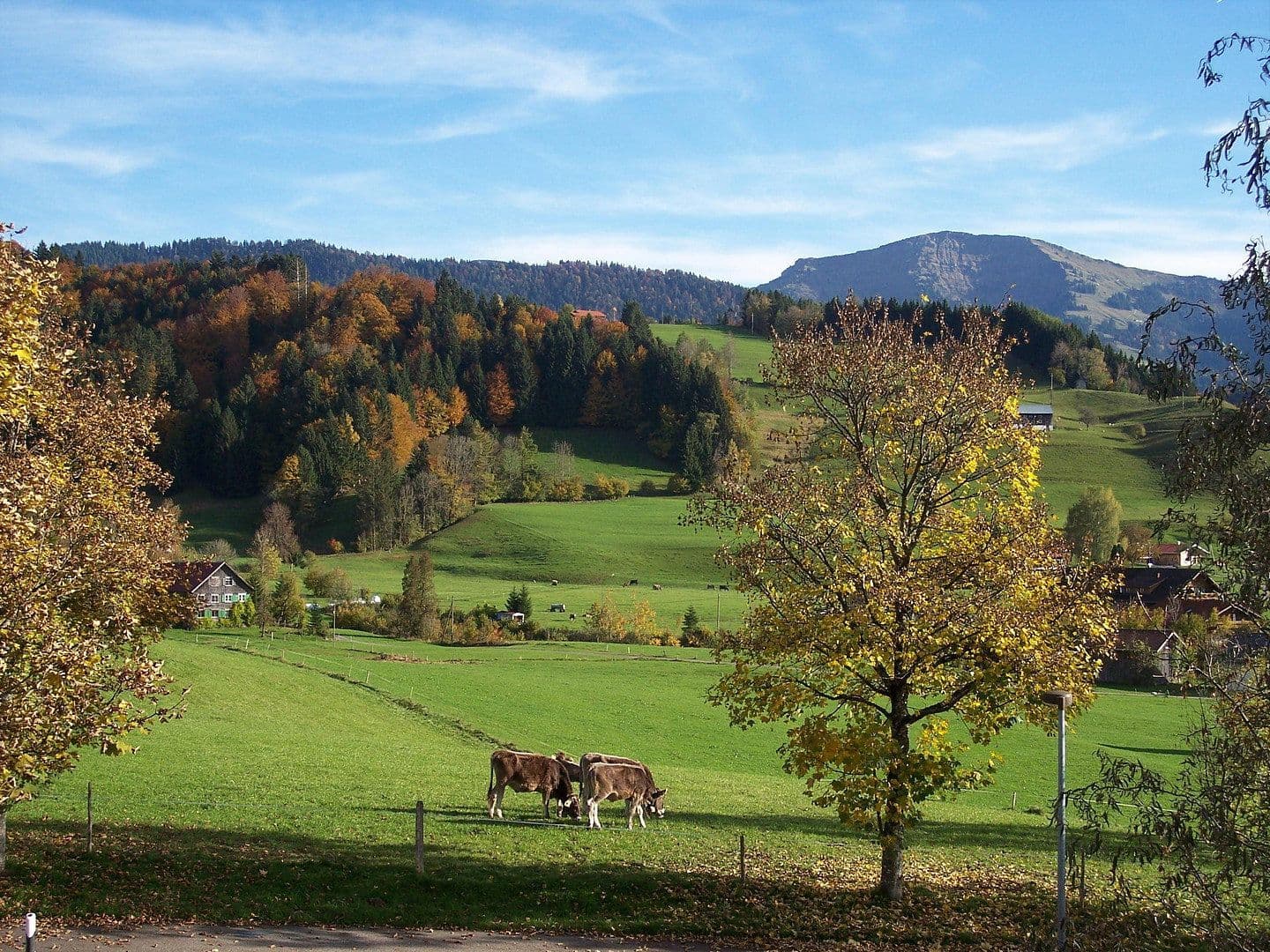 Predaj domu 230 m², pozemok 960 m², Oberstaufen, Bavorsko Predaj domu 230 m², pozemok 960 m², Oberstaufen, Bavorsko