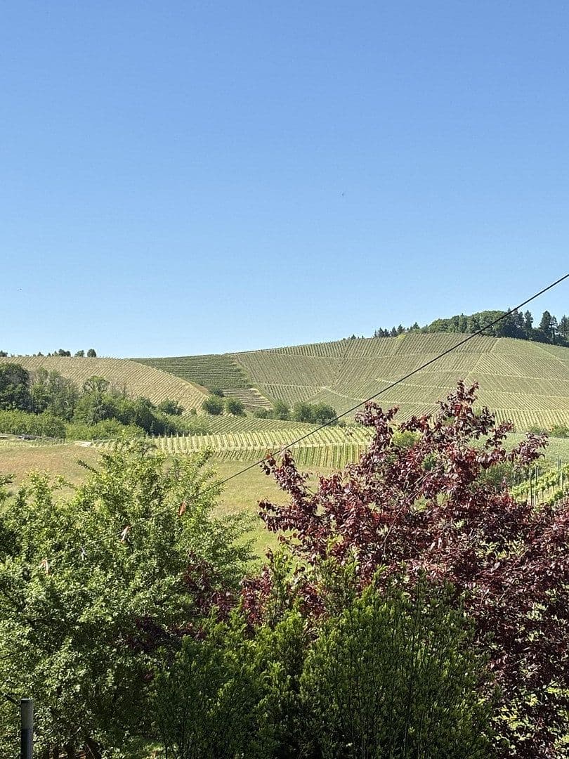 Predaj domu 296 m², pozemok 940 m², Oberkirch, Bádensko-Wurttembersko Predaj domu 296 m², pozemok 940 m², Oberkirch, Bádensko-Wurttembersko