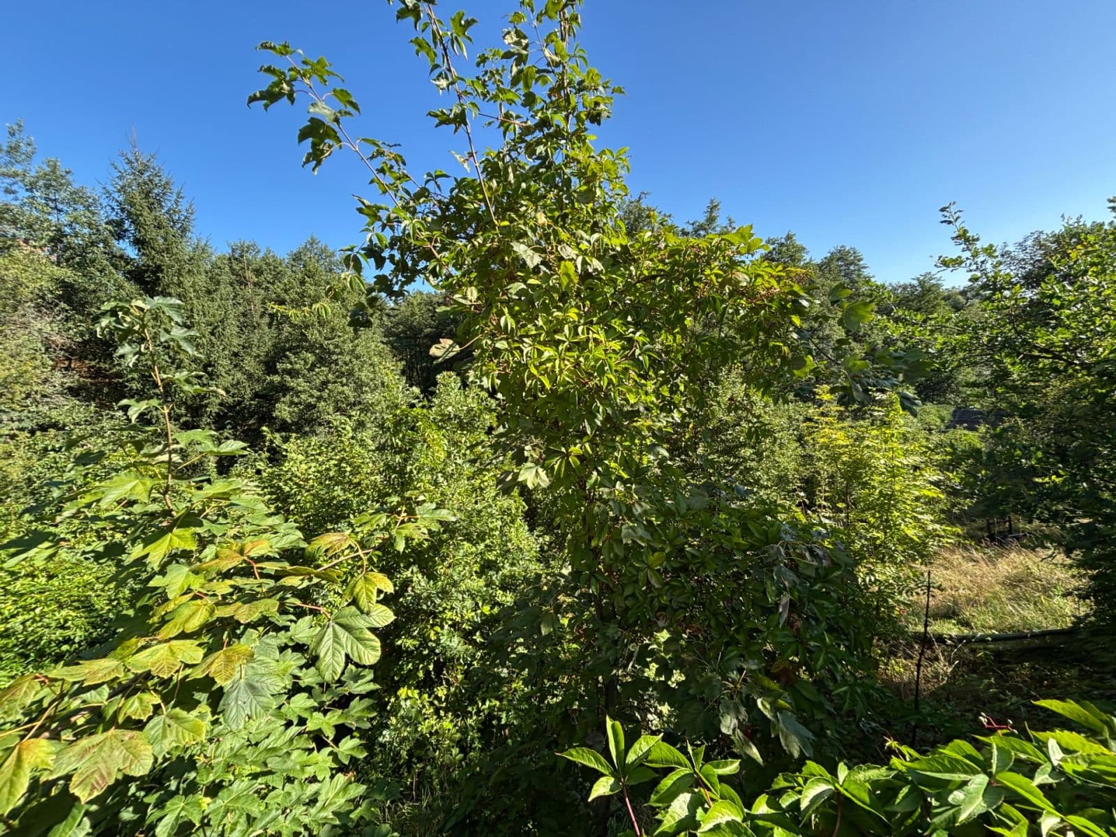 Predaj pozemku 494 m², Dlouhá, Karlovy Vary, Karlovarský kraj Predaj pozemku 494 m², Dlouhá, Karlovy Vary, Karlovarský kraj