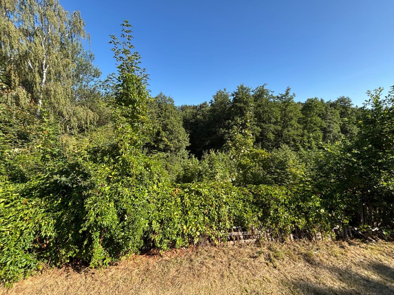 Predaj pozemku 494 m², Dlouhá, Karlovy Vary, Karlovarský kraj Predaj pozemku 494 m², Dlouhá, Karlovy Vary, Karlovarský kraj