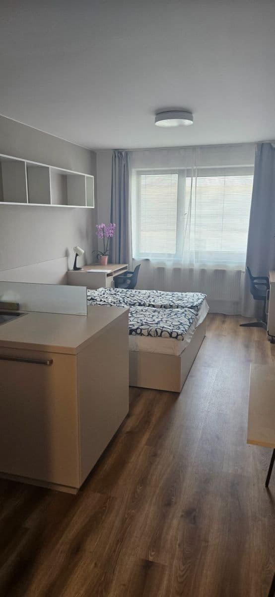 Prenájom bytu 1-izbový 40 m², Studentská, Brno, Jihomoravský kraj Prenájom bytu 1-izbový 40 m², Studentská, Brno, Jihomoravský kraj
