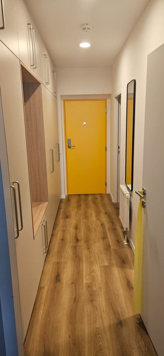 Prenájom bytu 1-izbový 40 m², Studentská, Brno, Jihomoravský kraj Prenájom bytu 1-izbový 40 m², Studentská, Brno, Jihomoravský kraj