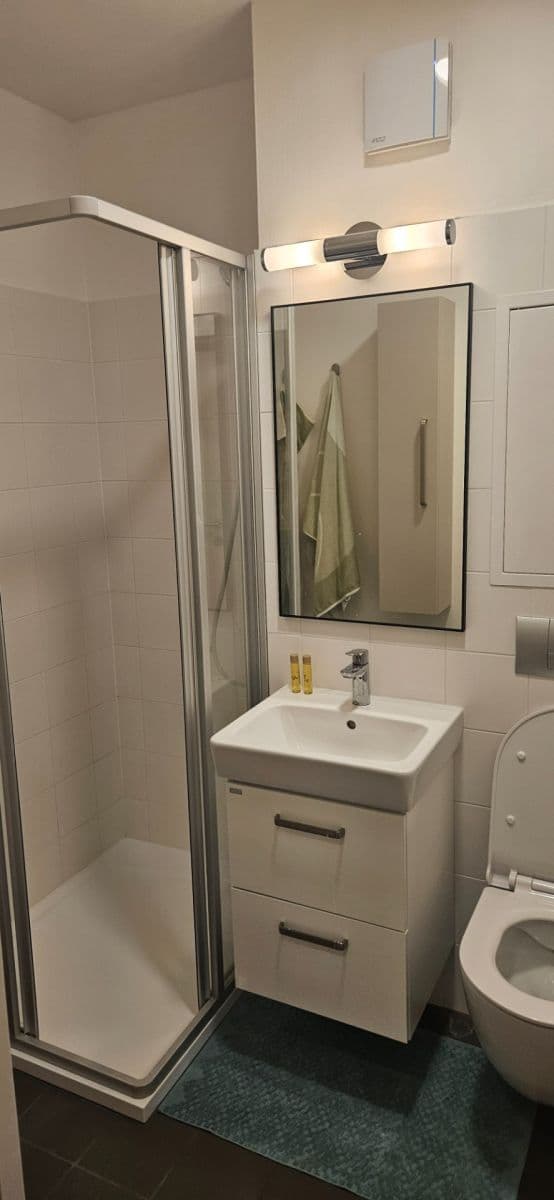 Prenájom bytu 1-izbový 40 m², Studentská, Brno, Jihomoravský kraj Prenájom bytu 1-izbový 40 m², Studentská, Brno, Jihomoravský kraj