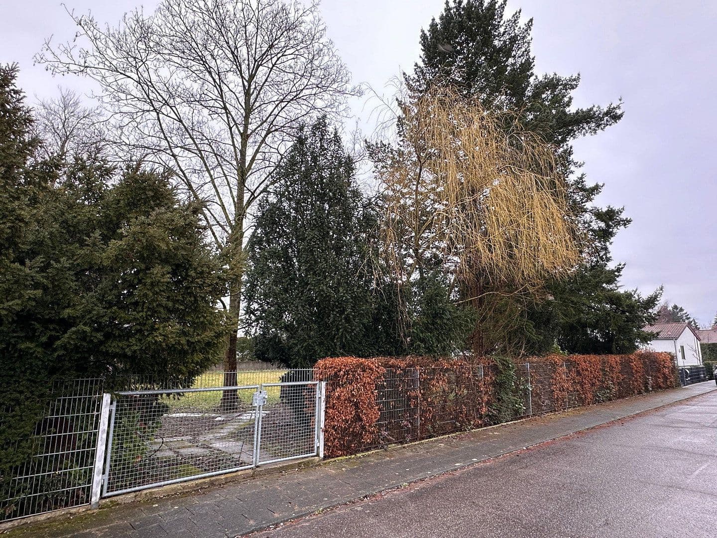 Predaj pozemku 800 m², Matthias-Grünewald-Str. 9, Lampertheim, Hesensko Predaj pozemku 800 m², Matthias-Grünewald-Str. 9, Lampertheim, Hesensko