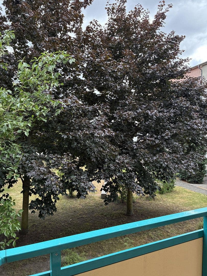 Prenájom bytu 4-izbový 84 m², Amalienstraße 123, Dessau-Roßlau, Sasko-Anhaltsko Prenájom bytu 4-izbový 84 m², Amalienstraße 123, Dessau-Roßlau, Sasko-Anhaltsko