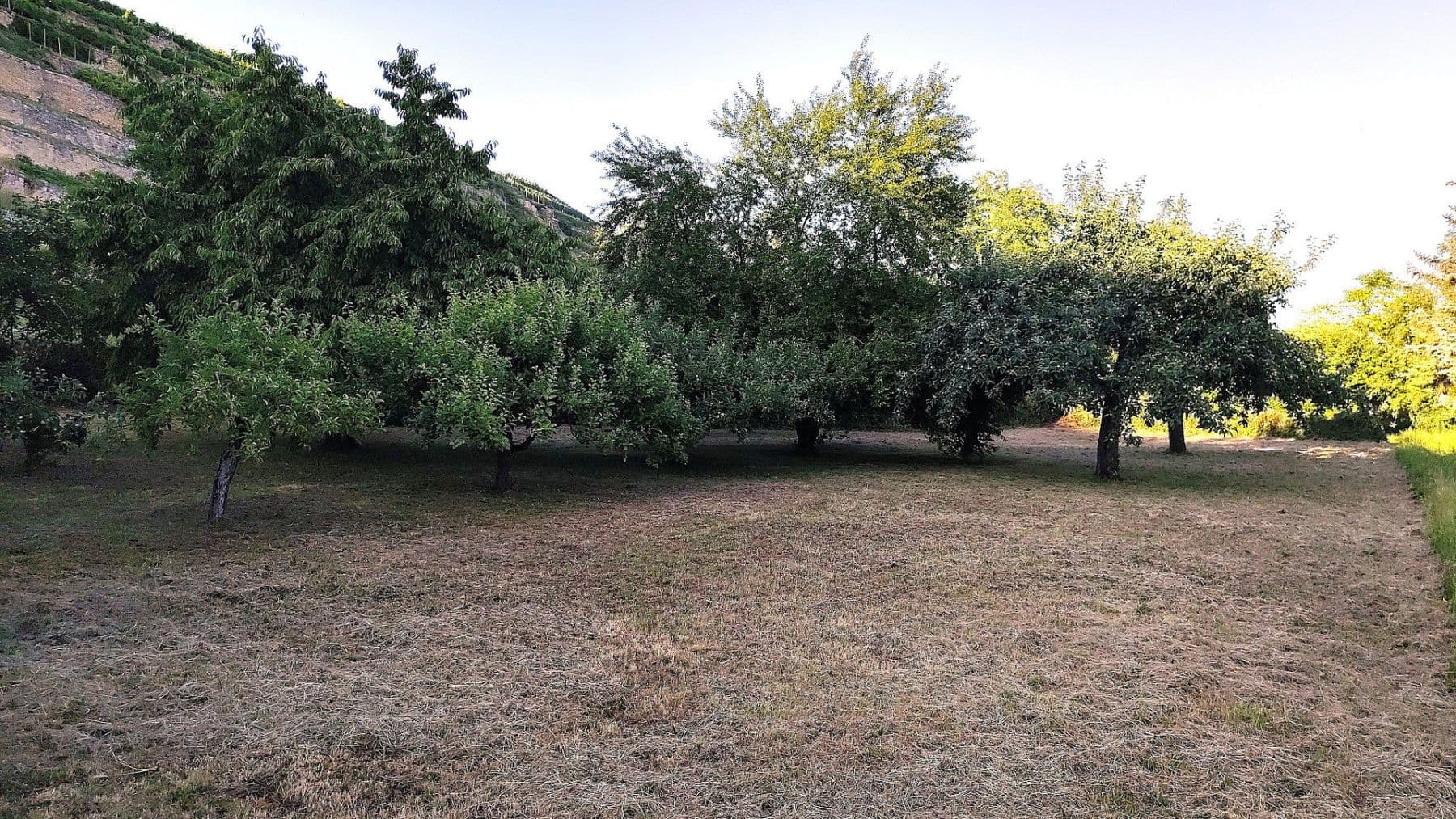 Predaj domu 156 m², pozemok 714 m², Kirchheim am Neckar, Bádensko-Wurttembersko Predaj domu 156 m², pozemok 714 m², Kirchheim am Neckar, Bádensko-Wurttembersko