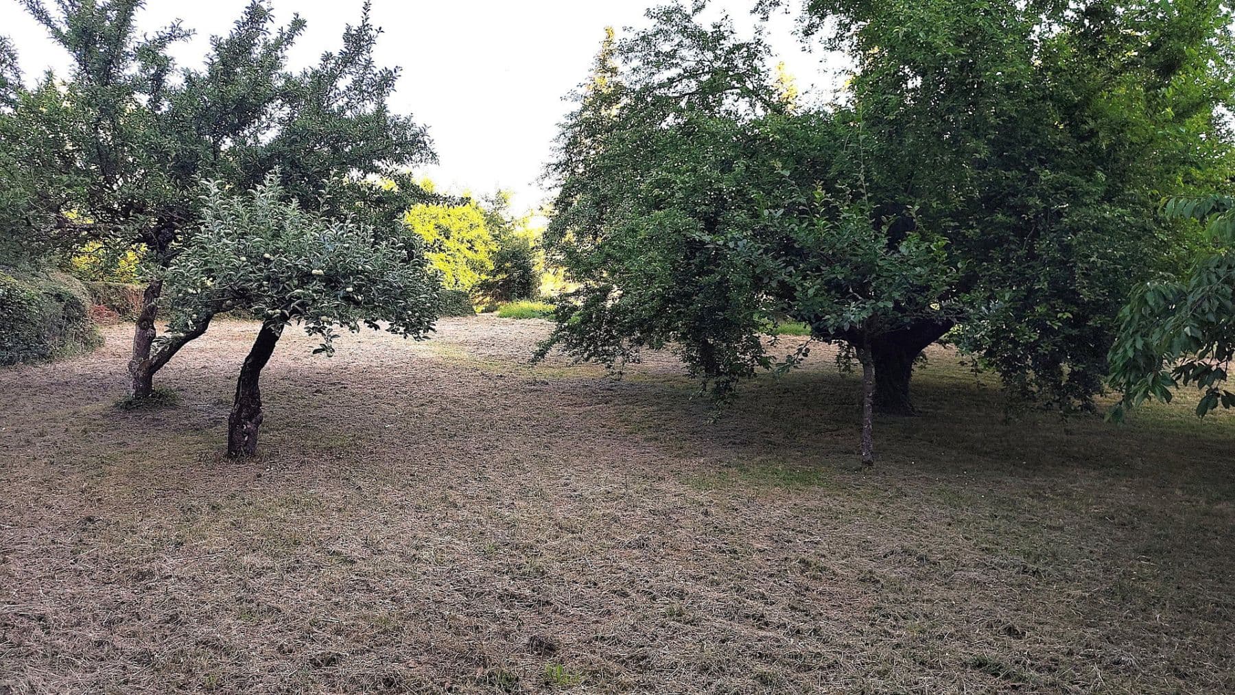 Predaj domu 156 m², pozemok 714 m², Kirchheim am Neckar, Bádensko-Wurttembersko Predaj domu 156 m², pozemok 714 m², Kirchheim am Neckar, Bádensko-Wurttembersko