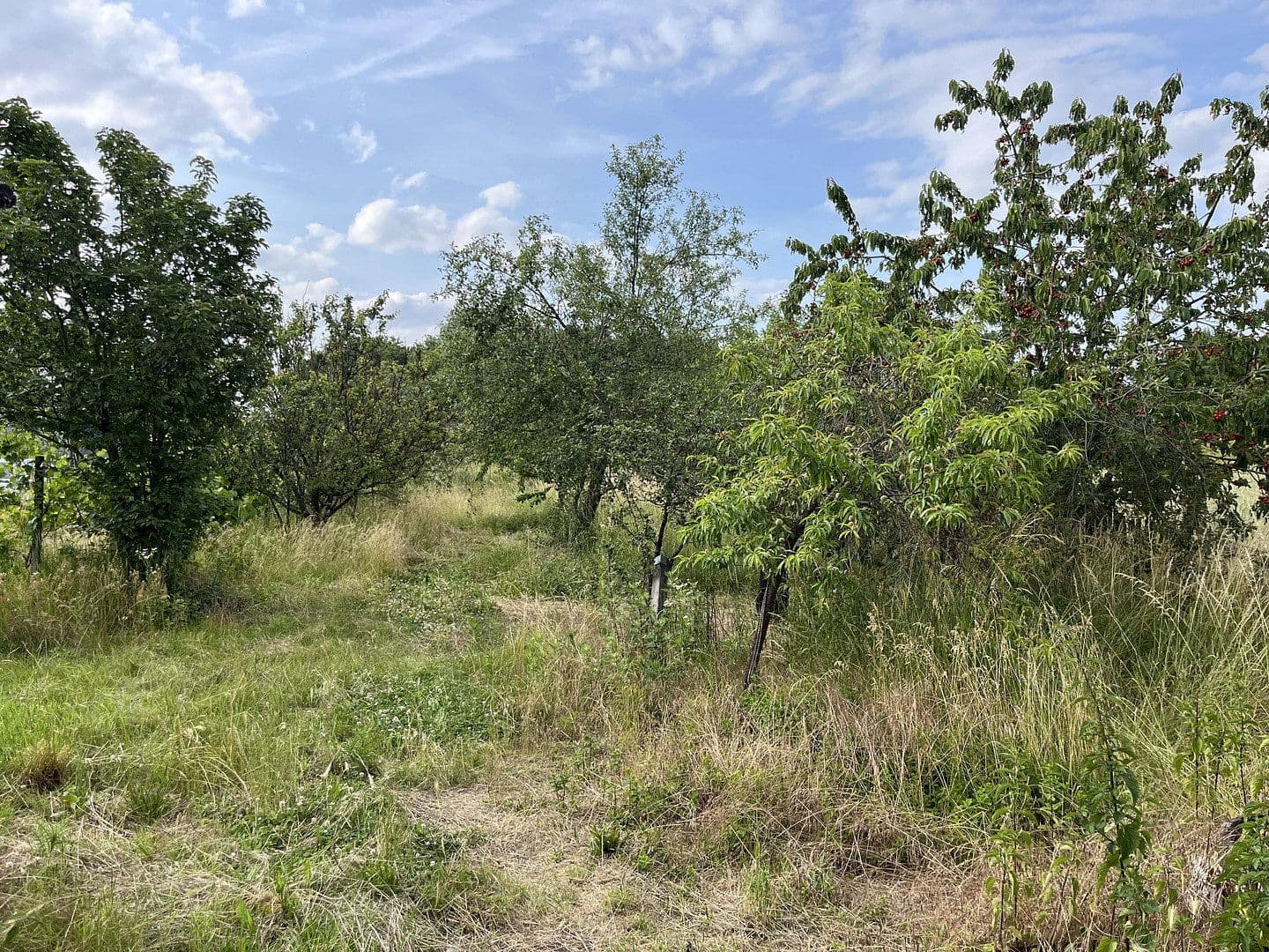 Predaj pozemku 1.800 m², Ludwigshafen am Rhein, Porýnie-Falcko Predaj pozemku 1.800 m², Ludwigshafen am Rhein, Porýnie-Falcko