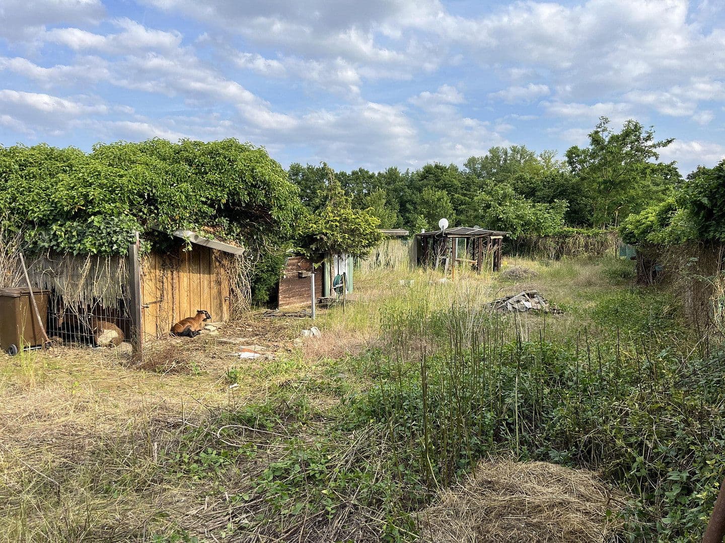 Predaj pozemku 1.800 m², Ludwigshafen am Rhein, Porýnie-Falcko Predaj pozemku 1.800 m², Ludwigshafen am Rhein, Porýnie-Falcko