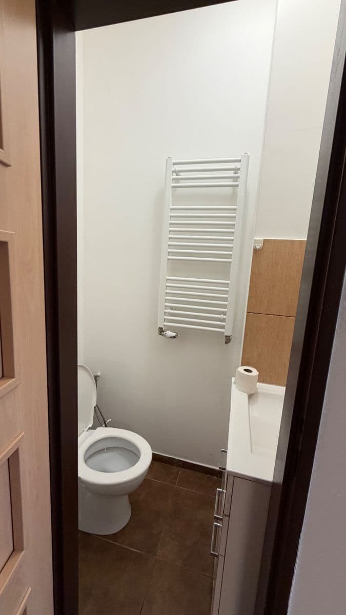 Prenájom bytu 1-izbový 32 m², Postoloprtská, Louny, Ústecký kraj Prenájom bytu 1-izbový 32 m², Postoloprtská, Louny, Ústecký kraj