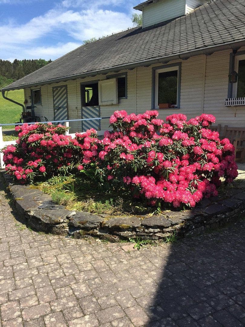 Predaj domu 180 m², pozemok 99.920 m², Geisfeld, Porýnie-Falcko Predaj domu 180 m², pozemok 99.920 m², Geisfeld, Porýnie-Falcko