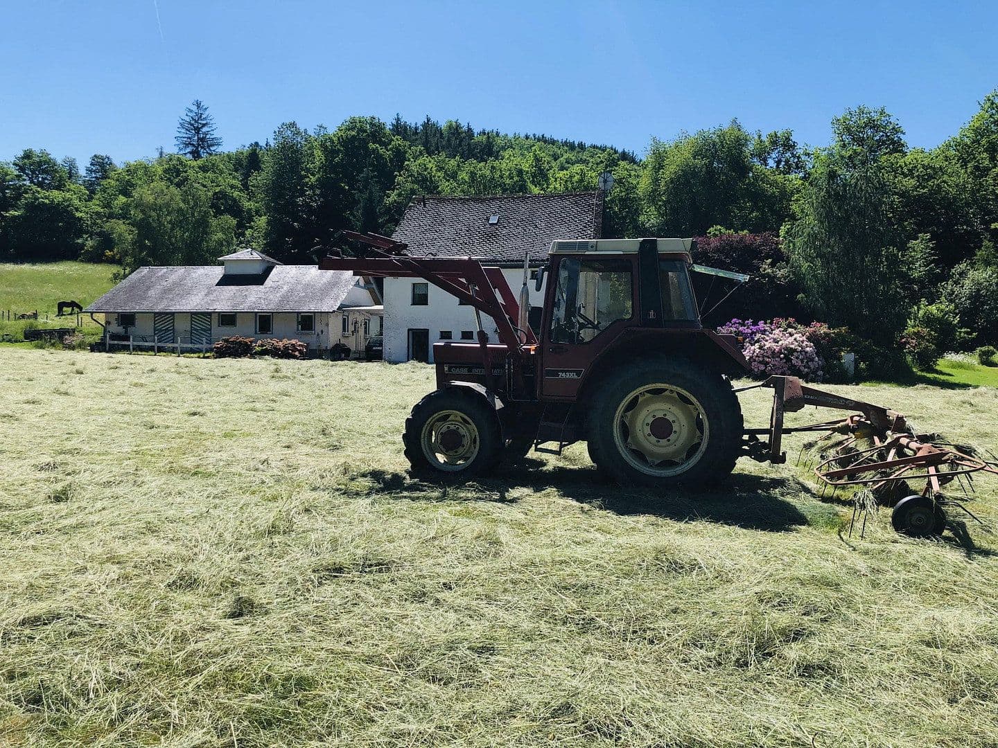 Predaj domu 180 m², pozemok 99.920 m², Geisfeld, Porýnie-Falcko Predaj domu 180 m², pozemok 99.920 m², Geisfeld, Porýnie-Falcko