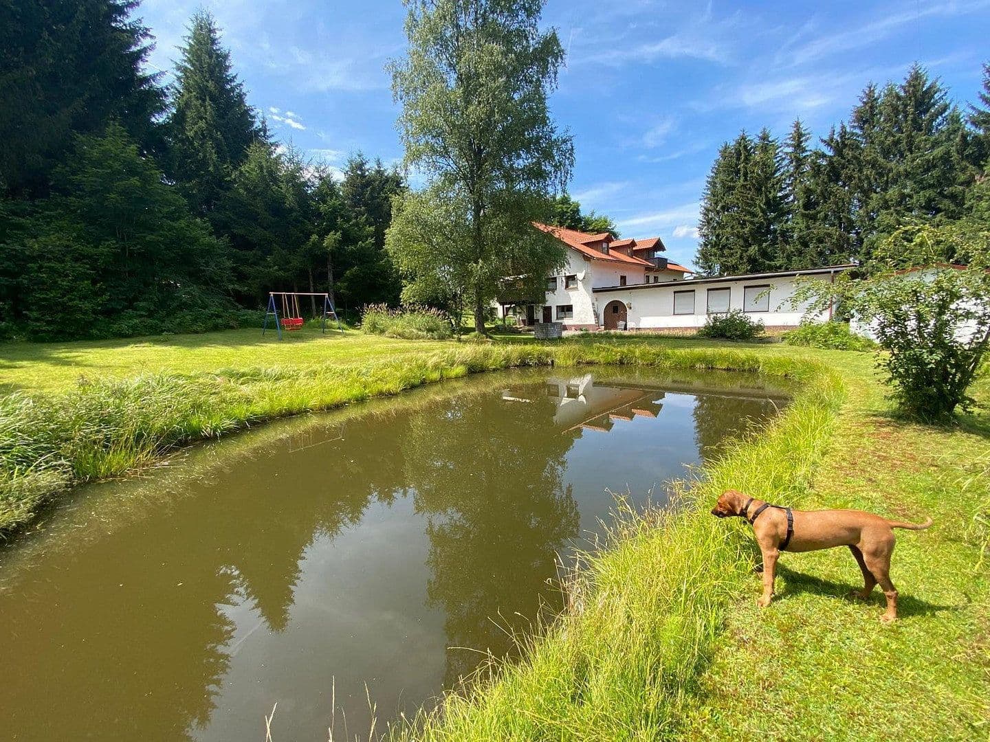 Predaj domu 484 m², pozemok 6.500 m², Neureichenau, Bavorsko Predaj domu 484 m², pozemok 6.500 m², Neureichenau, Bavorsko