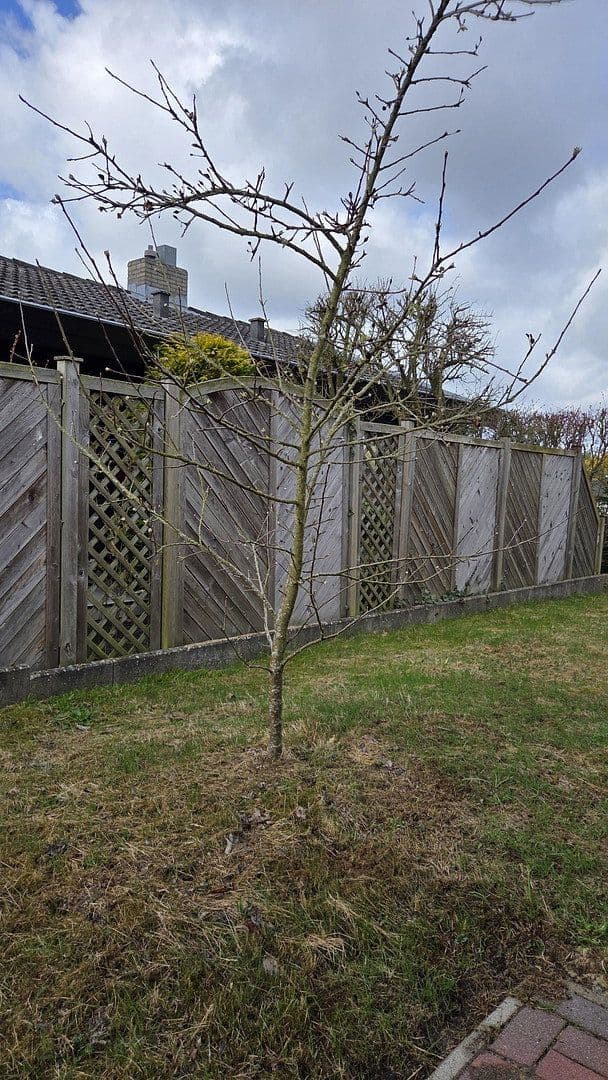 Predaj domu 100 m², pozemok 600 m², Buxtehude, Dolné Sasko Predaj domu 100 m², pozemok 600 m², Buxtehude, Dolné Sasko