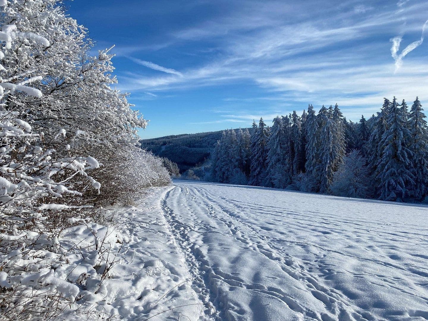 Prenájom bytu 2-izbový 58 m², Delleweg 21, Winterberg, Severné Porýnie - Westfálsko Prenájom bytu 2-izbový 58 m², Delleweg 21, Winterberg, Severné Porýnie - Westfálsko