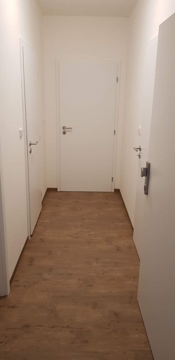 Prenájom bytu 2-izbový 51 m², Chelčického, Brno, Jihomoravský kraj Prenájom bytu 2-izbový 51 m², Chelčického, Brno, Jihomoravský kraj