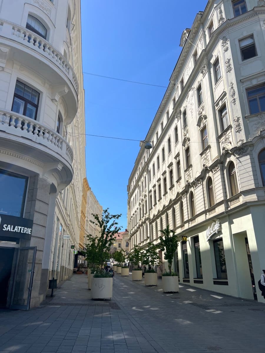 Prenájom bytu 2-izbový 94 m², náměstí Svobody, Brno, Jihomoravský kraj Prenájom bytu 2-izbový 94 m², náměstí Svobody, Brno, Jihomoravský kraj
