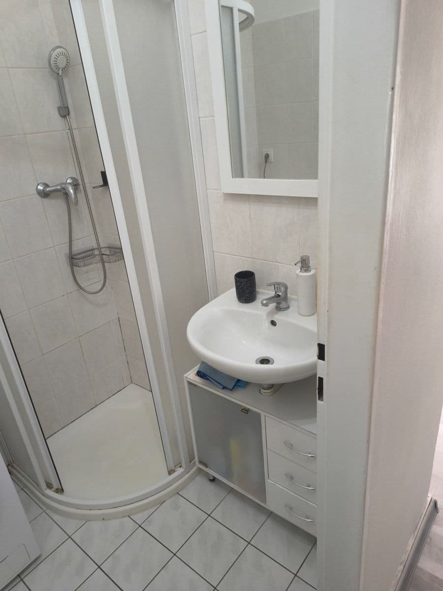 Prenájom bytu 1-izbový 38 m², Seifertova, Praha, Praha Prenájom bytu 1-izbový 38 m², Seifertova, Praha, Praha