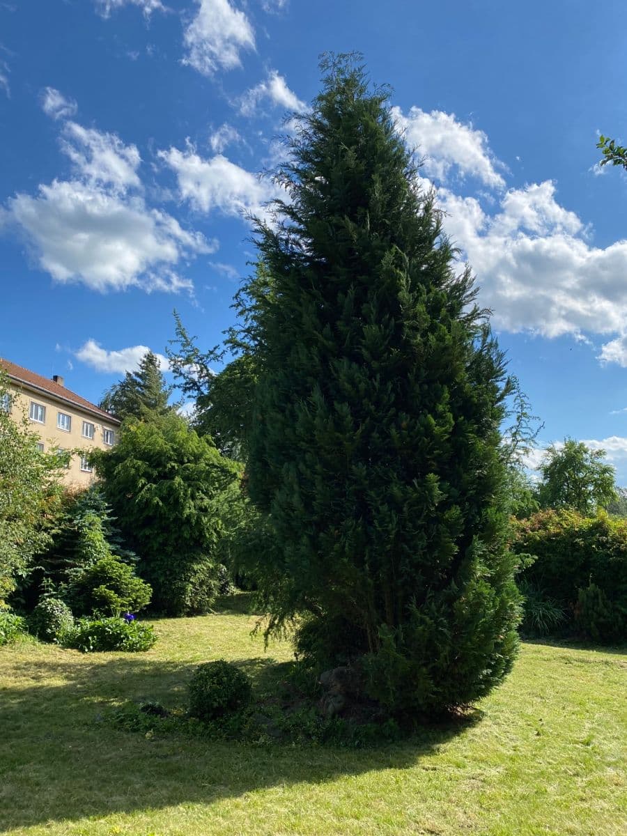 Predaj pozemku 449 m², Dolní Rožínka, Kraj Vysočina Predaj pozemku 449 m², Dolní Rožínka, Kraj Vysočina