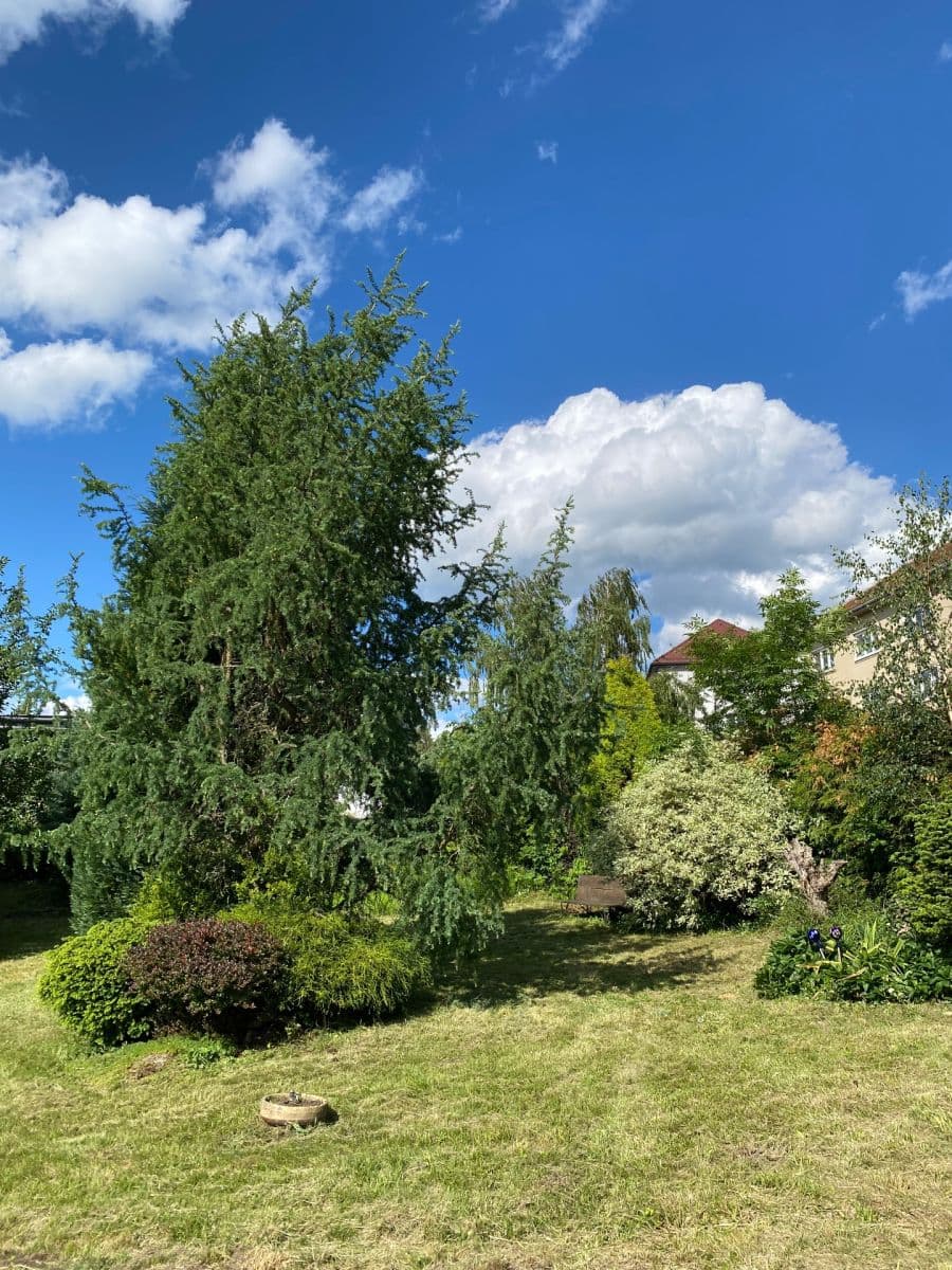 Predaj pozemku 449 m², Dolní Rožínka, Kraj Vysočina Predaj pozemku 449 m², Dolní Rožínka, Kraj Vysočina
