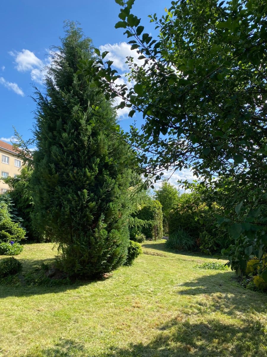 Predaj pozemku 449 m², Dolní Rožínka, Kraj Vysočina Predaj pozemku 449 m², Dolní Rožínka, Kraj Vysočina
