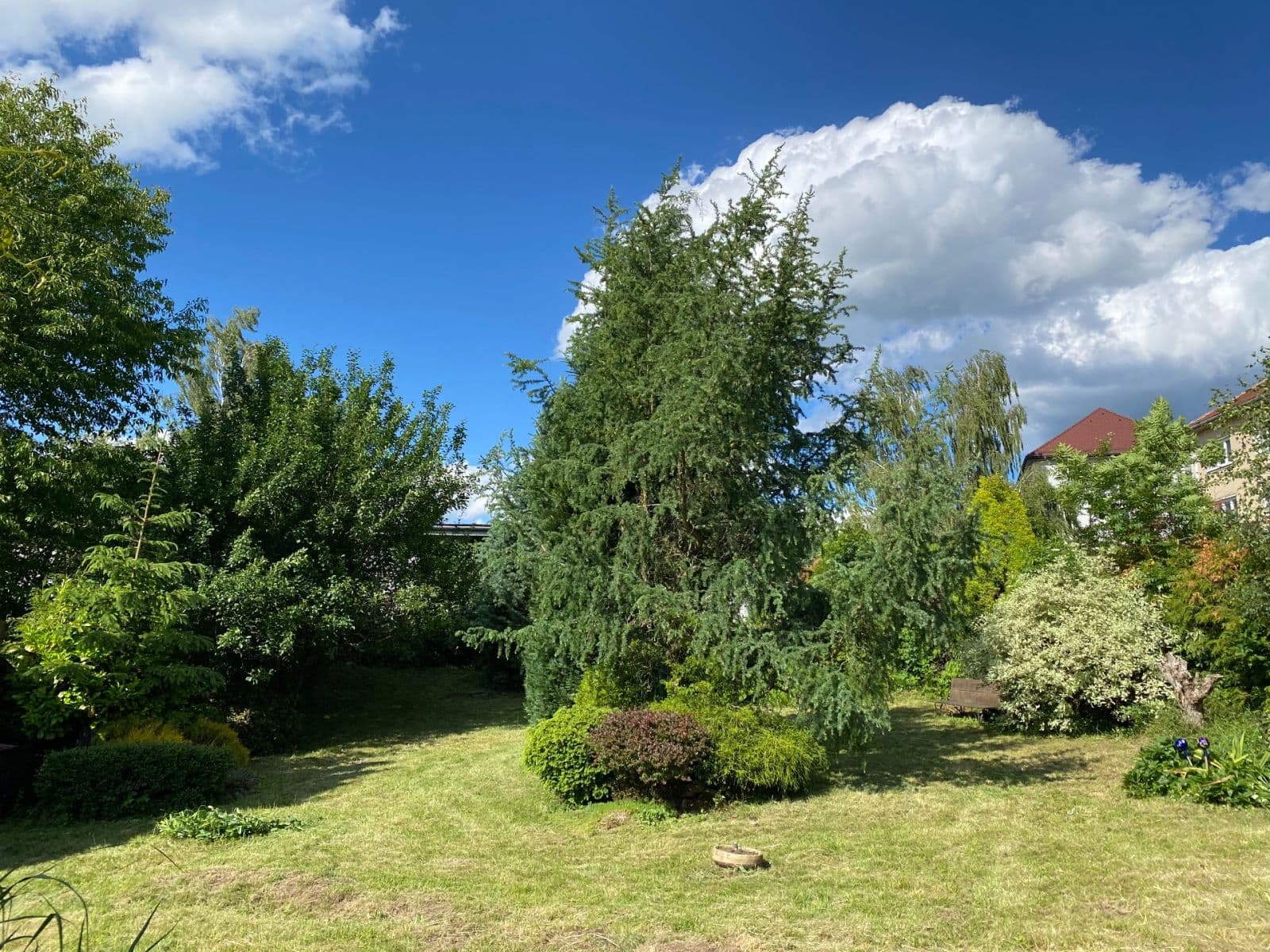 Predaj pozemku 449 m², Dolní Rožínka, Kraj Vysočina Predaj pozemku 449 m², Dolní Rožínka, Kraj Vysočina