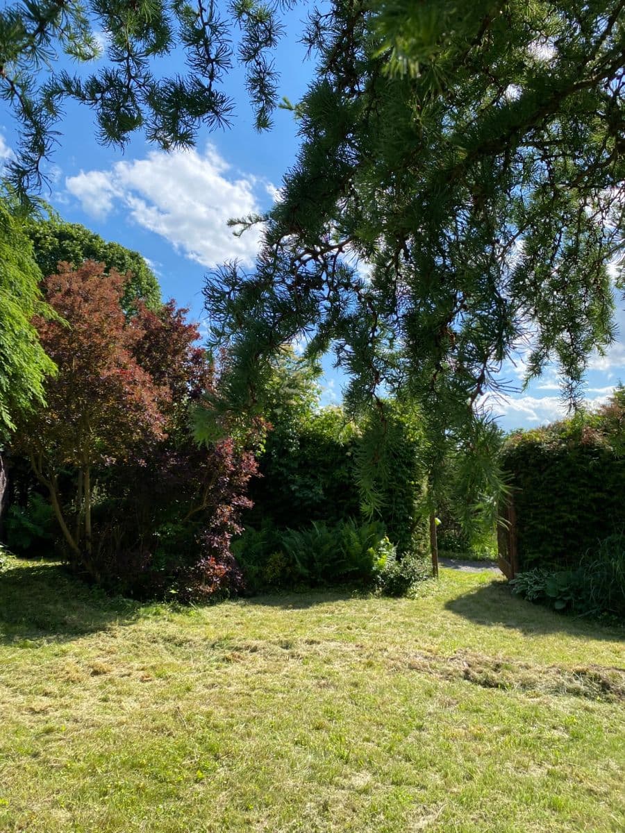 Predaj pozemku 449 m², Dolní Rožínka, Kraj Vysočina Predaj pozemku 449 m², Dolní Rožínka, Kraj Vysočina