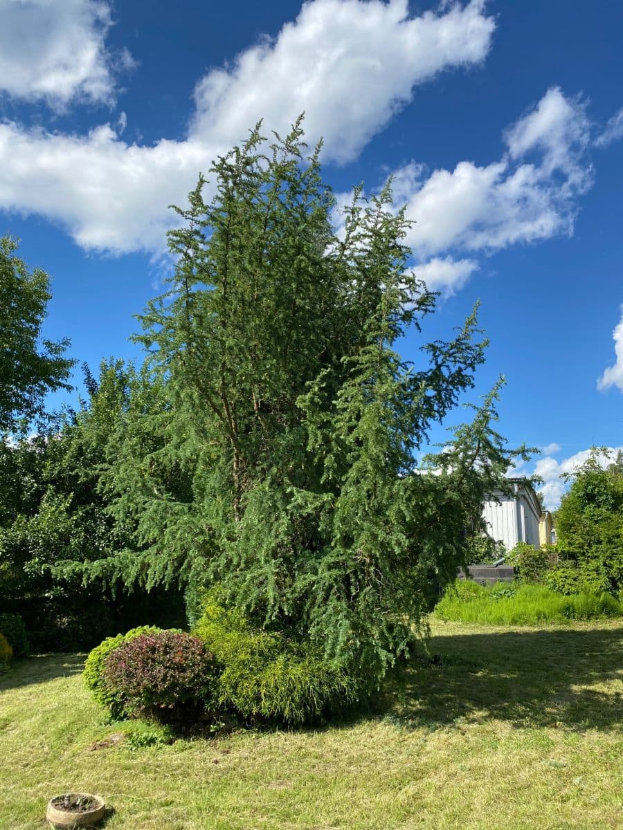 Predaj pozemku 449 m², Dolní Rožínka, Kraj Vysočina Predaj pozemku 449 m², Dolní Rožínka, Kraj Vysočina