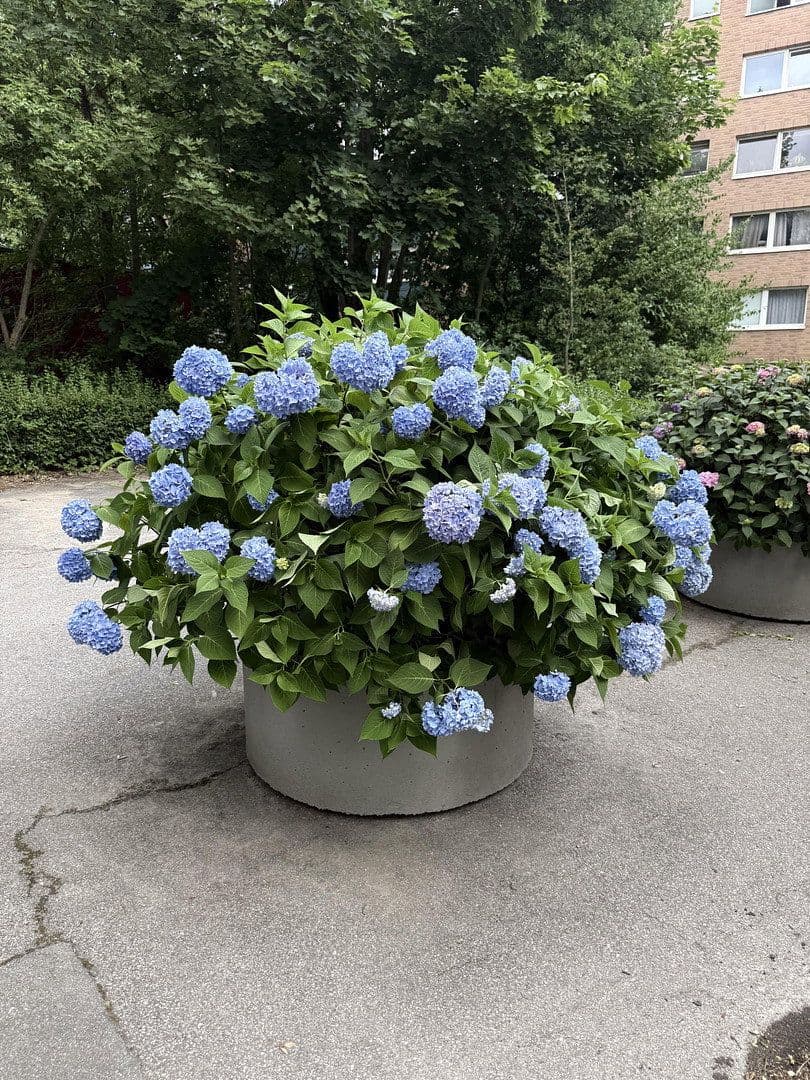 Predaj bytu 2-izbový 60 m², Holtenauer Straße 228, Kiel, Šlezvicko-Holštajnsko Predaj bytu 2-izbový 60 m², Holtenauer Straße 228, Kiel, Šlezvicko-Holštajnsko