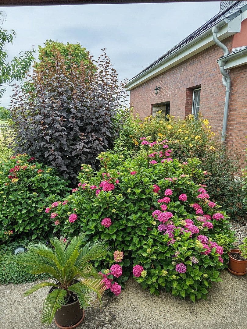 Predaj domu 477 m², pozemok 23.953 m², Averlak, Šlezvicko-Holštajnsko Predaj domu 477 m², pozemok 23.953 m², Averlak, Šlezvicko-Holštajnsko