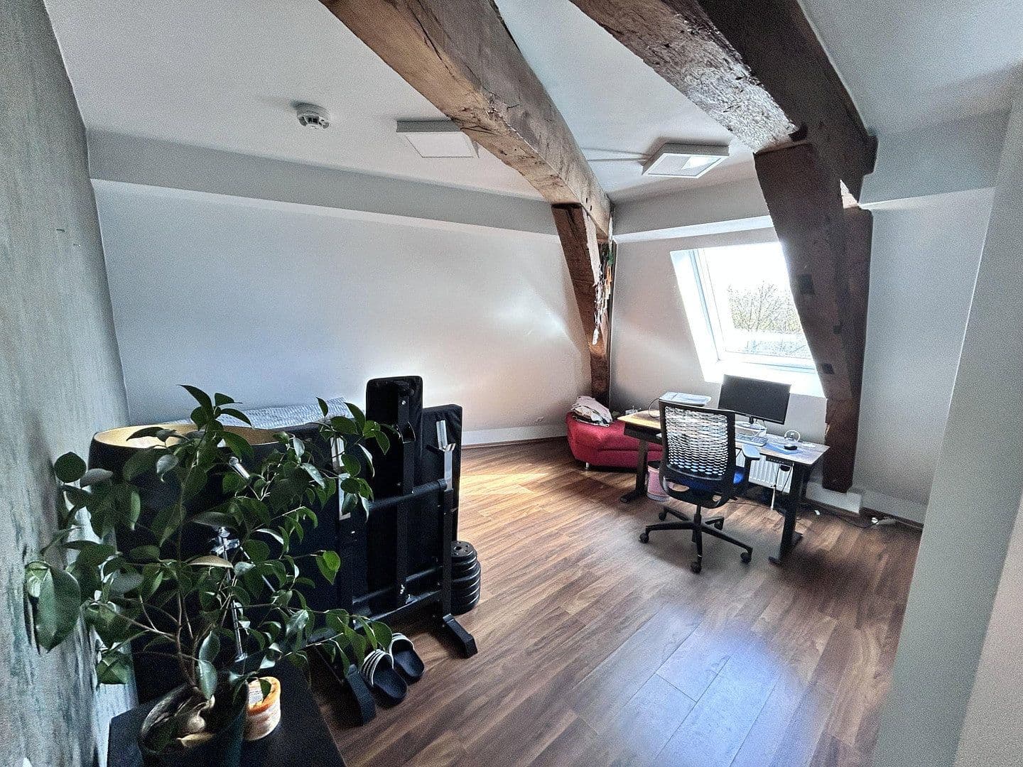 Predaj bytu 3-izbový 73 m², Spitalmauer 12, Paderborn, Severné Porýnie - Westfálsko Predaj bytu 3-izbový 73 m², Spitalmauer 12, Paderborn, Severné Porýnie - Westfálsko