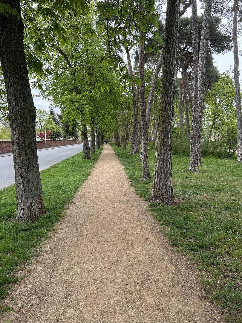 Prenájom bytu 7-izbový 170 m², Pfungstadt, Hesensko Prenájom bytu 7-izbový 170 m², Pfungstadt, Hesensko