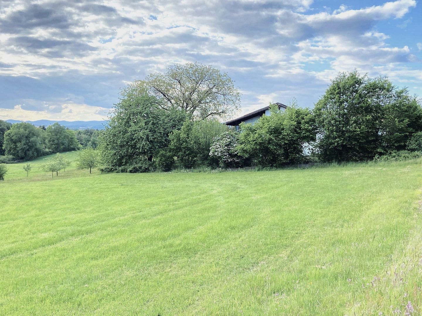 Predaj domu 189 m², pozemok 2.000 m², Fürstenstein, Bavorsko Predaj domu 189 m², pozemok 2.000 m², Fürstenstein, Bavorsko