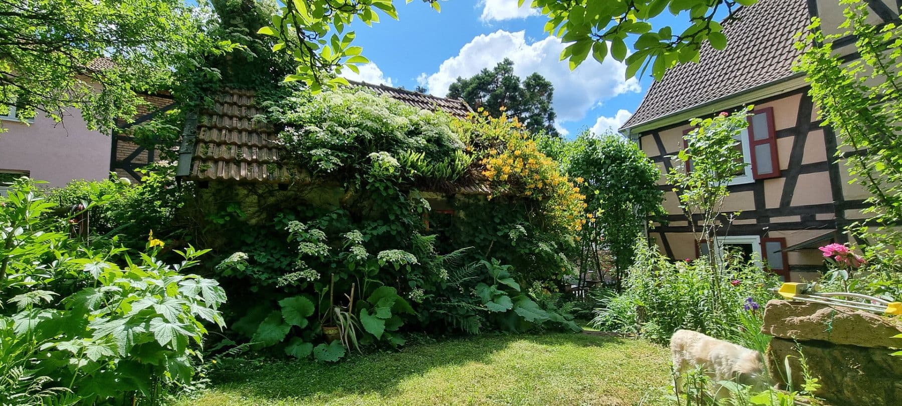 Predaj domu 240 m², pozemok 744 m², Biebergemünd, Hesensko Predaj domu 240 m², pozemok 744 m², Biebergemünd, Hesensko