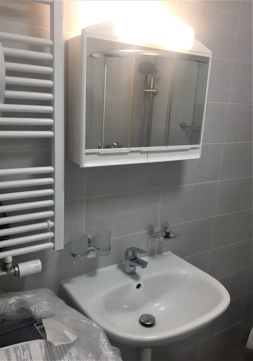 Prenájom bytu 1-izbový 30 m², U Nového dvora, Praha, Praha Prenájom bytu 1-izbový 30 m², U Nového dvora, Praha, Praha