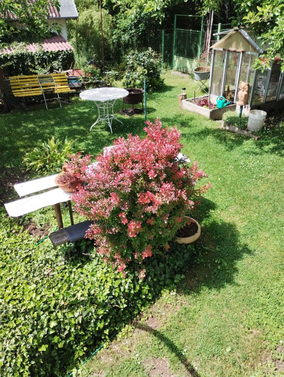 Predaj rekreačného objektu 16 m², pozemok 400 m², Chlum u Třeboně, Jihočeský kraj Predaj rekreačného objektu 16 m², pozemok 400 m², Chlum u Třeboně, Jihočeský kraj