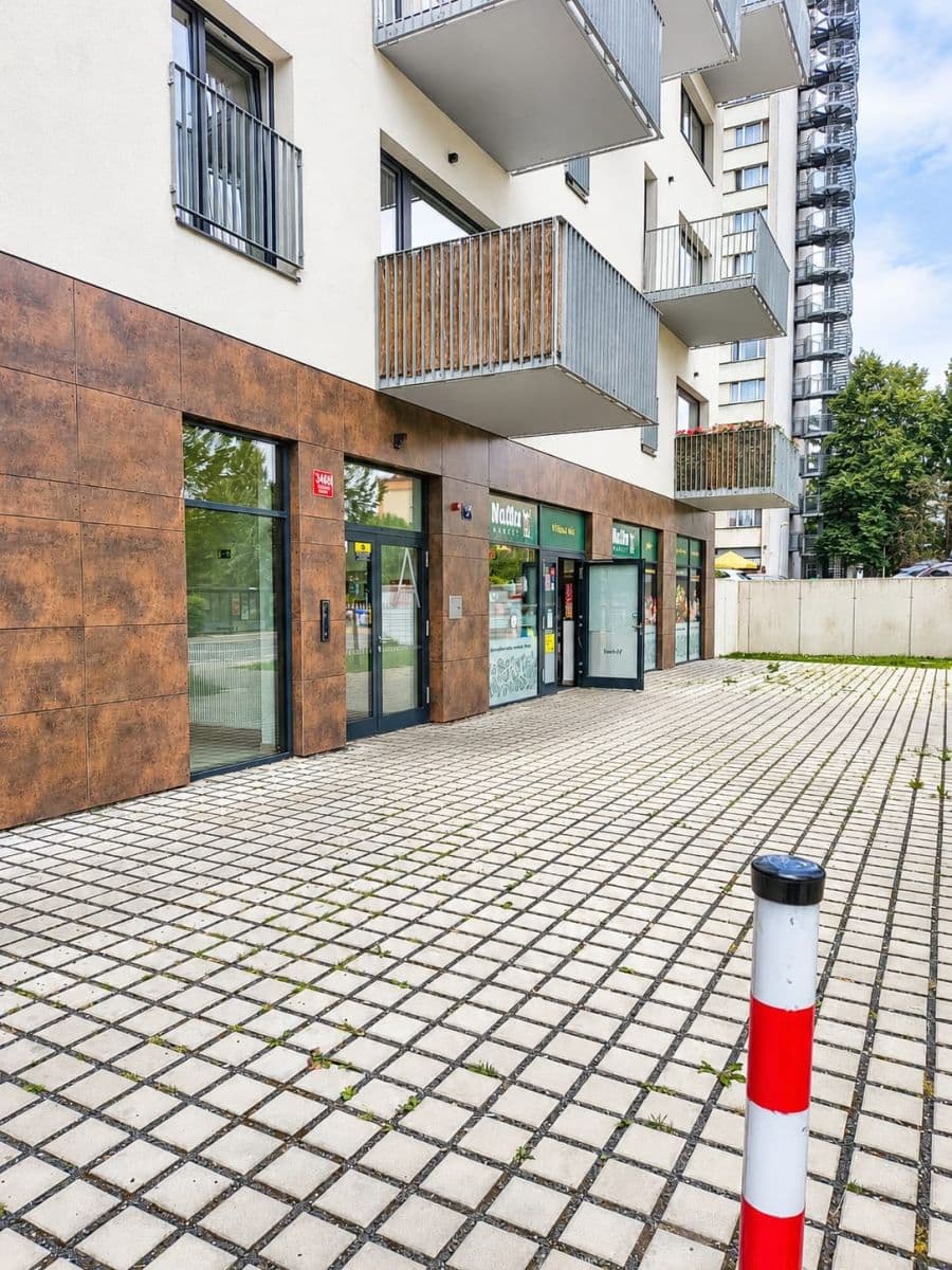 Prenájom bytu 1-izbový 39 m², Štěchovická, Praha, Praha Prenájom bytu 1-izbový 39 m², Štěchovická, Praha, Praha