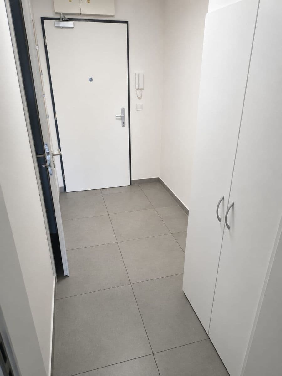 Prenájom bytu 1-izbový 39 m², Štěchovická, Praha, Praha Prenájom bytu 1-izbový 39 m², Štěchovická, Praha, Praha