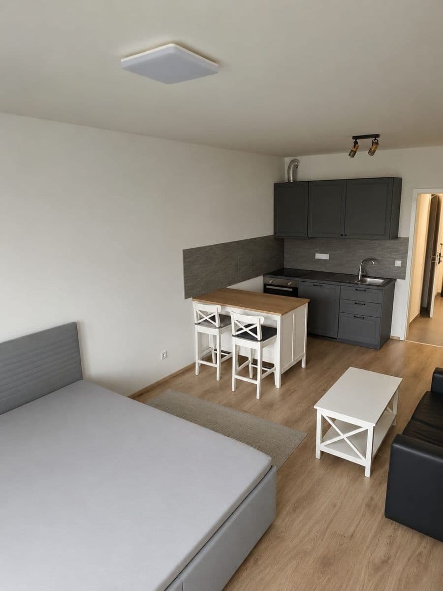 Prenájom bytu 1-izbový 39 m², Štěchovická, Praha, Praha Prenájom bytu 1-izbový 39 m², Štěchovická, Praha, Praha